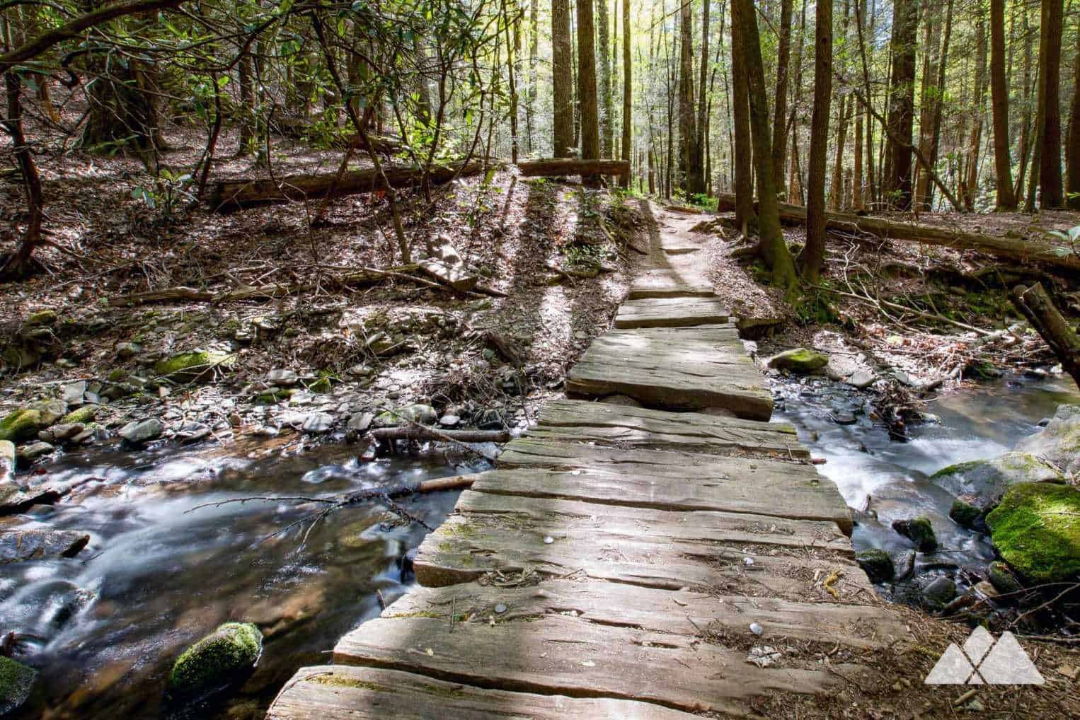 Raven Cliff Falls trail